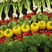 Verdura e ortaggi Carpineto
